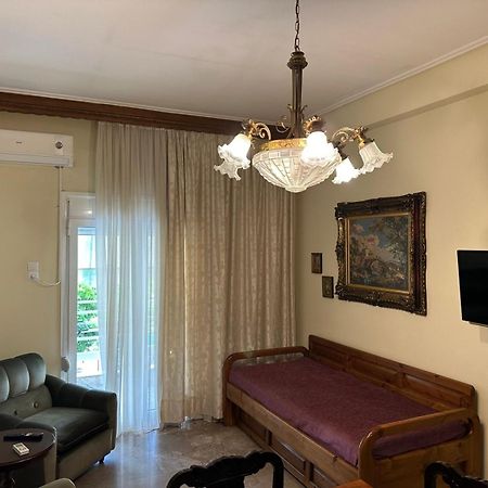 Theoni Central Apartment Kalambaka Zewnętrze zdjęcie