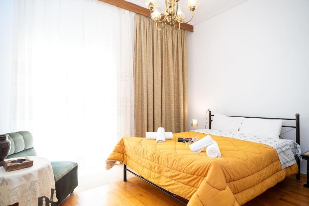 Theoni Central Apartment Kalambaka Zewnętrze zdjęcie