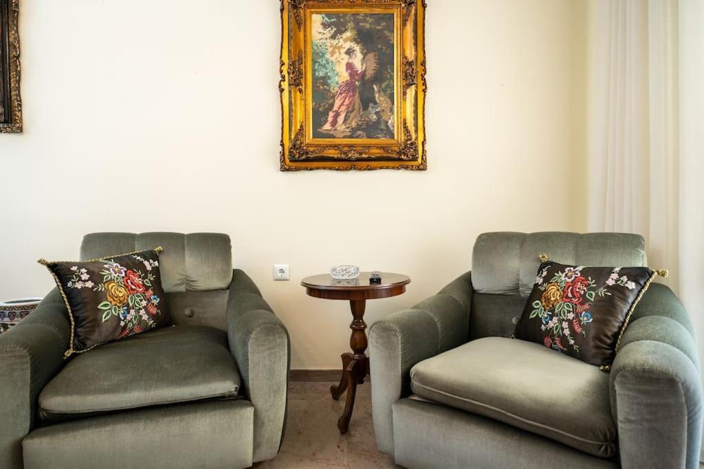 Theoni Central Apartment Kalambaka Zewnętrze zdjęcie