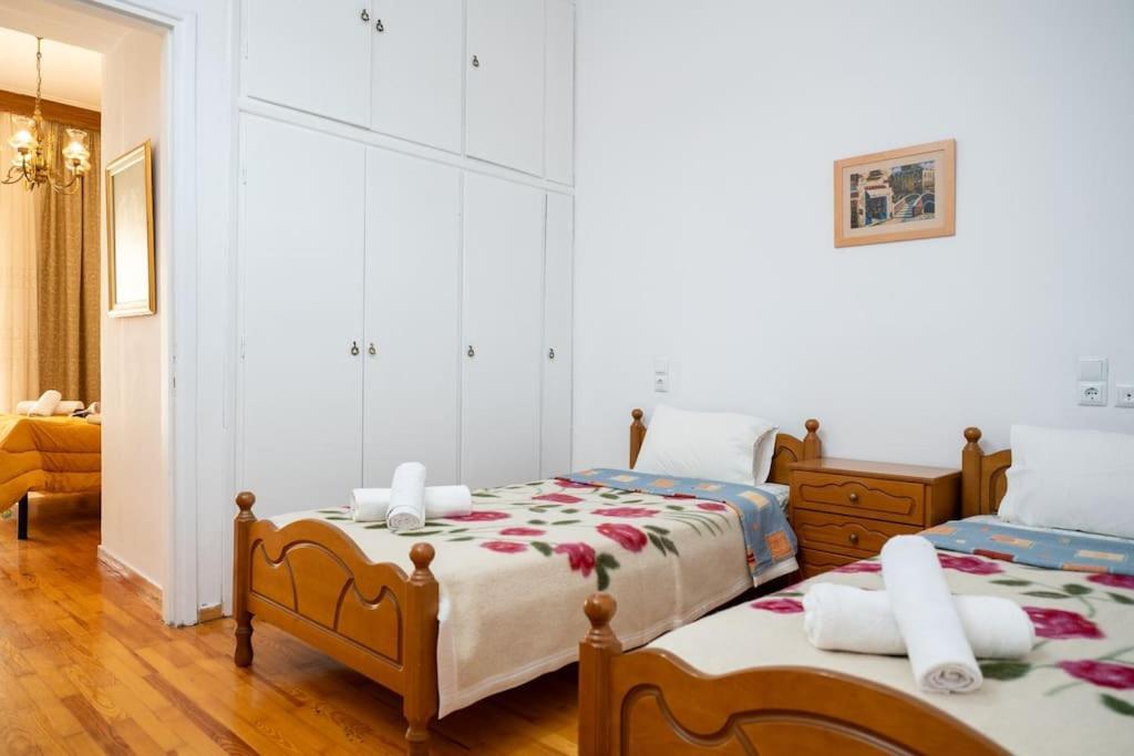 Theoni Central Apartment Kalambaka Zewnętrze zdjęcie
