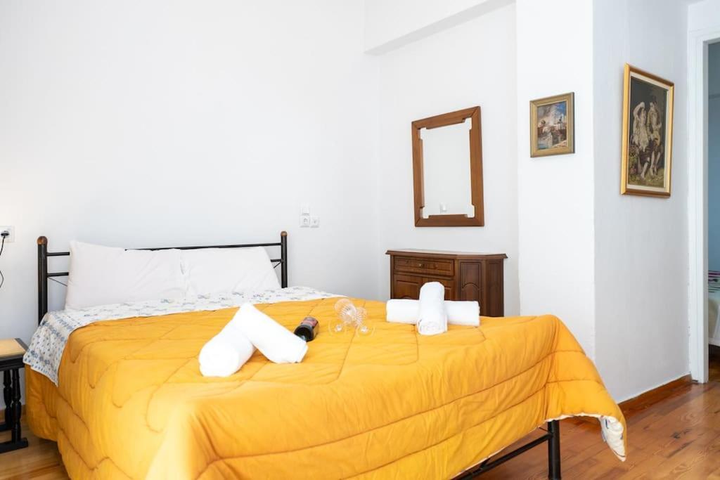 Theoni Central Apartment Kalambaka Zewnętrze zdjęcie