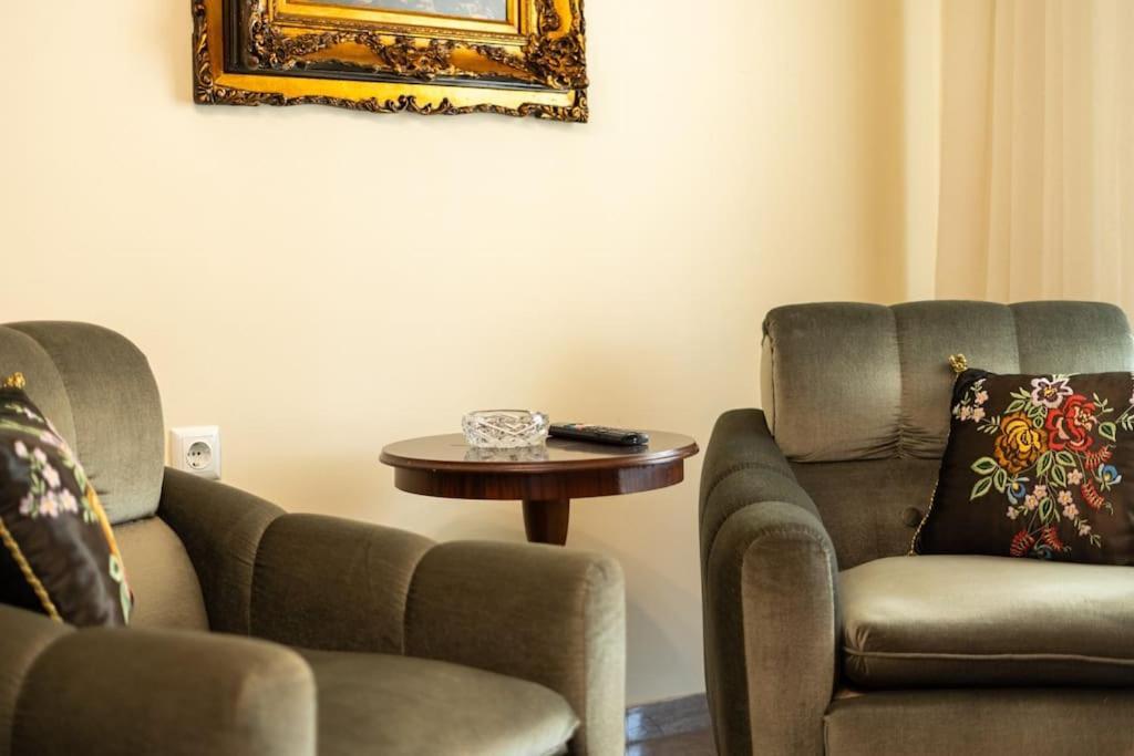 Theoni Central Apartment Kalambaka Zewnętrze zdjęcie