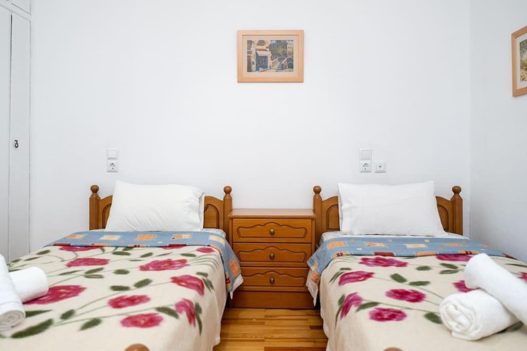 Theoni Central Apartment Kalambaka Zewnętrze zdjęcie