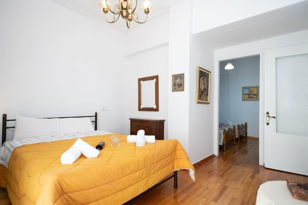 Theoni Central Apartment Kalambaka Zewnętrze zdjęcie