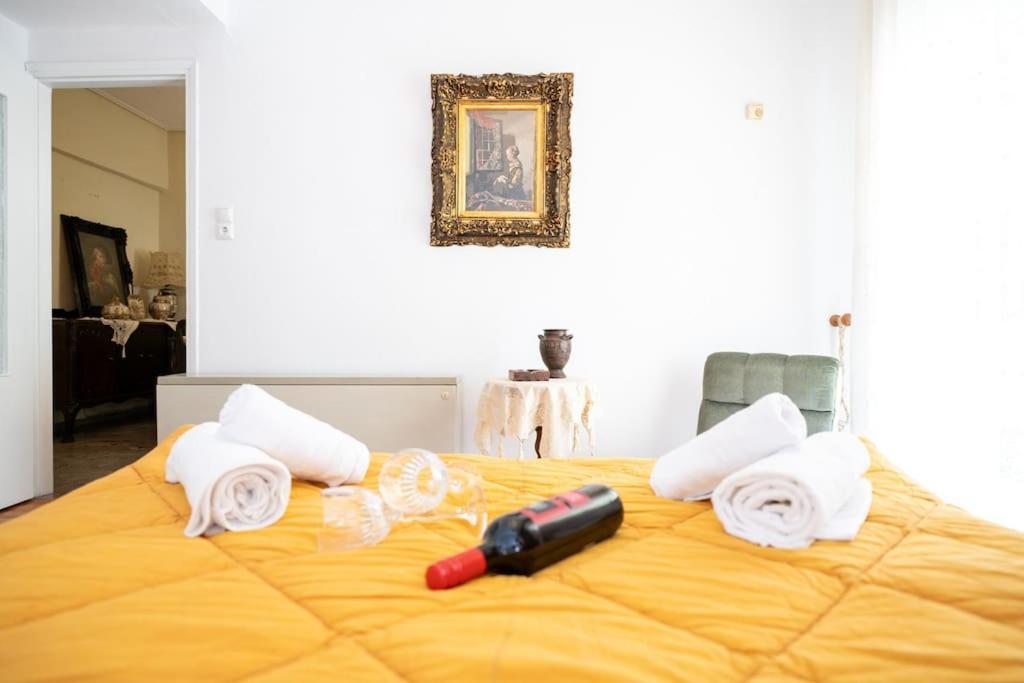 Theoni Central Apartment Kalambaka Zewnętrze zdjęcie